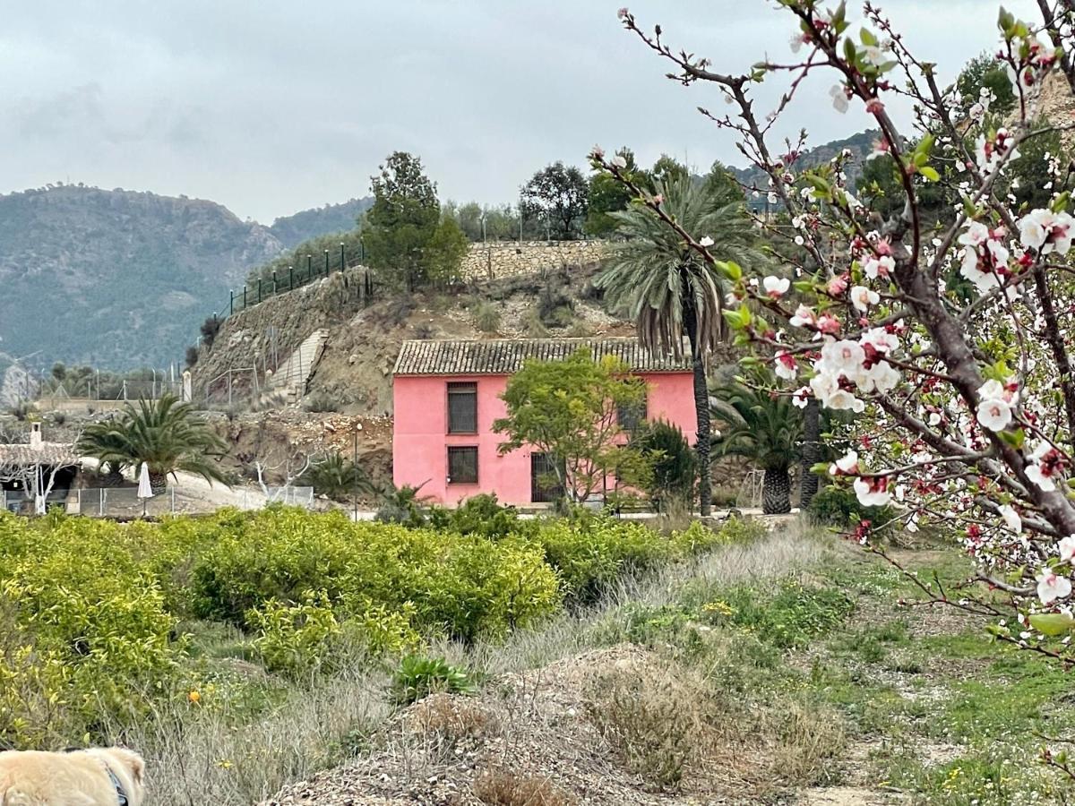 Casa Ramoncico. Finca El Campillo Blanca Eksteriør billede