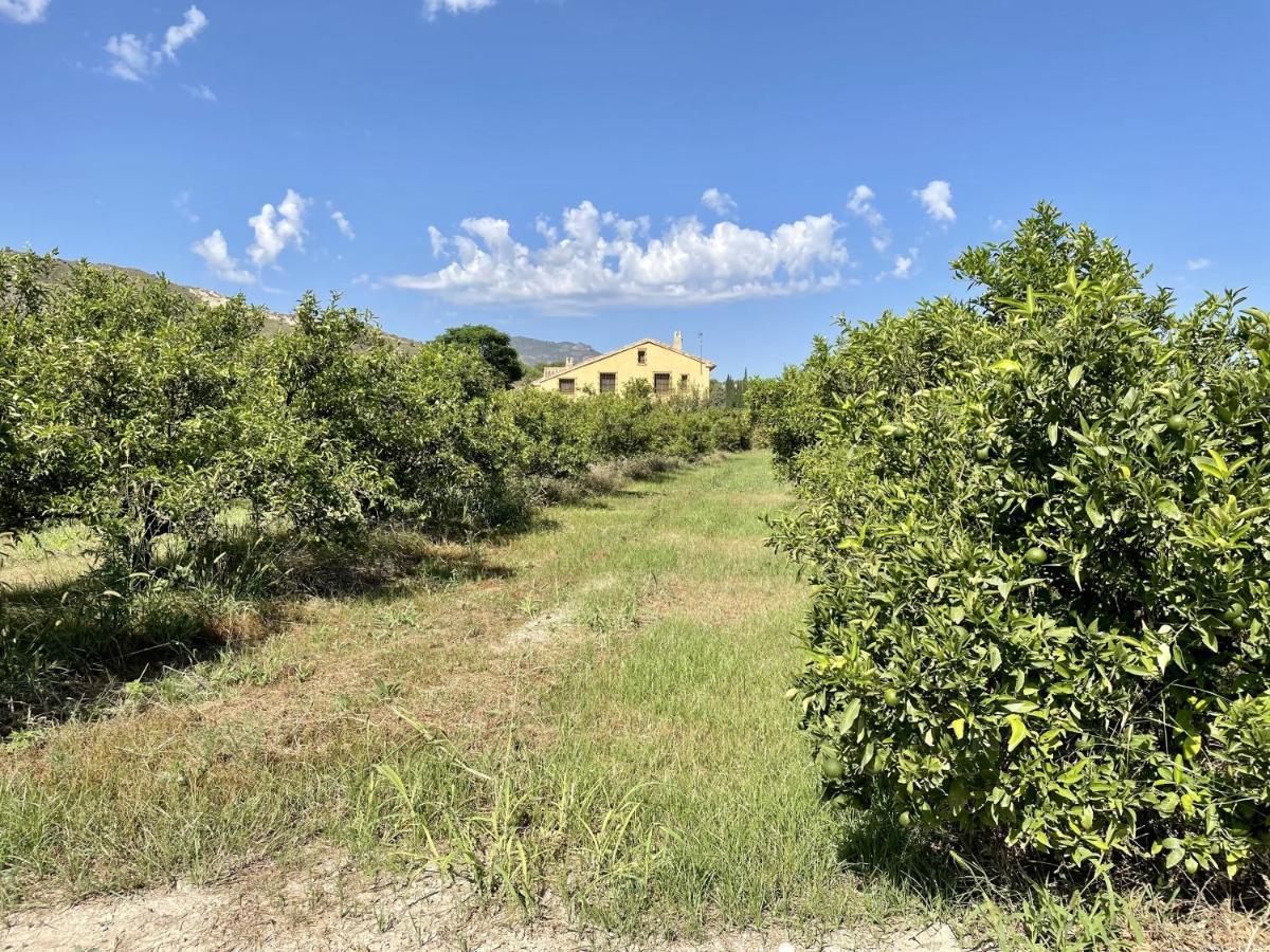 Casa Ramoncico. Finca El Campillo Blanca Eksteriør billede