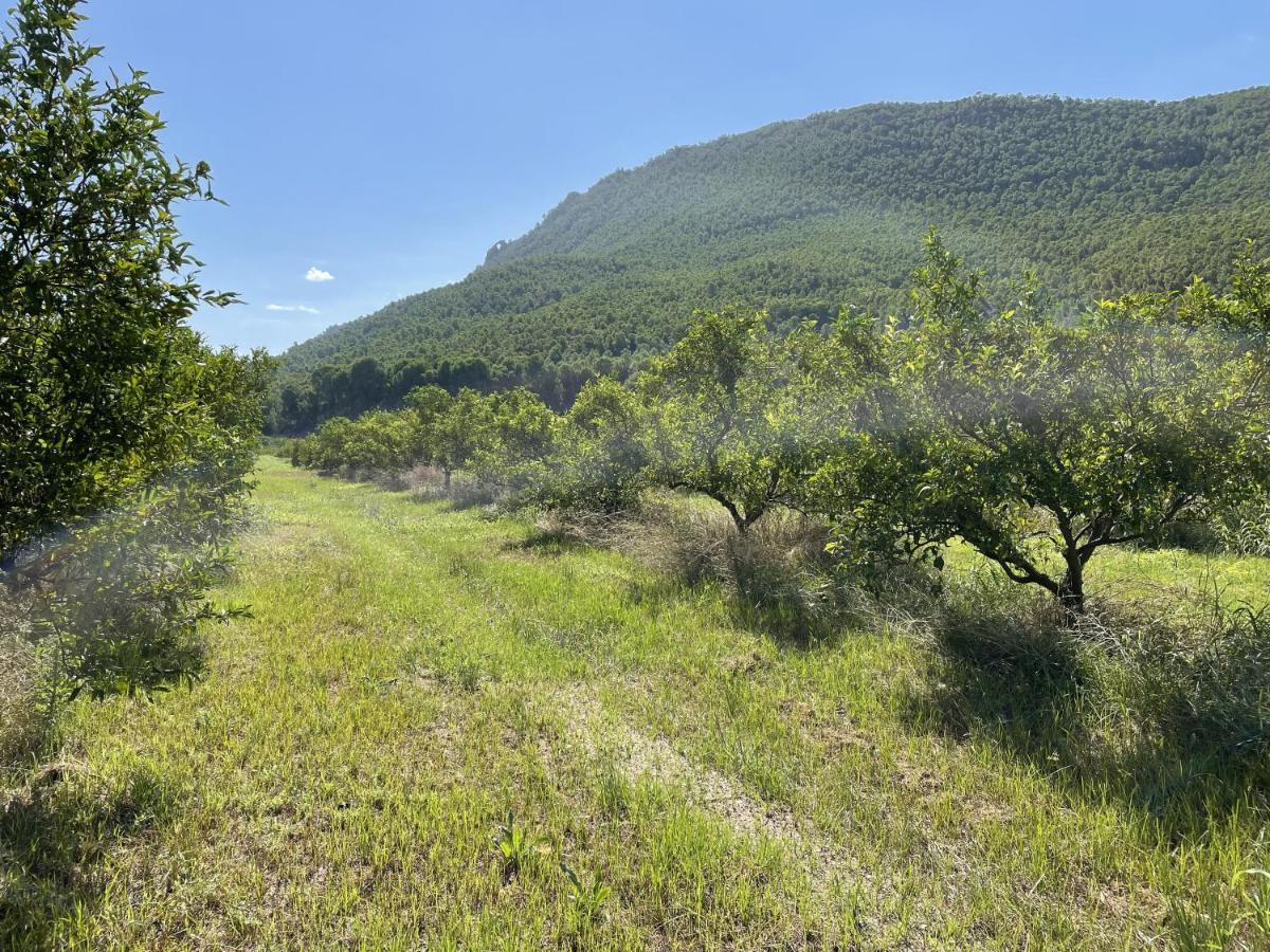 Casa Ramoncico. Finca El Campillo Blanca Eksteriør billede