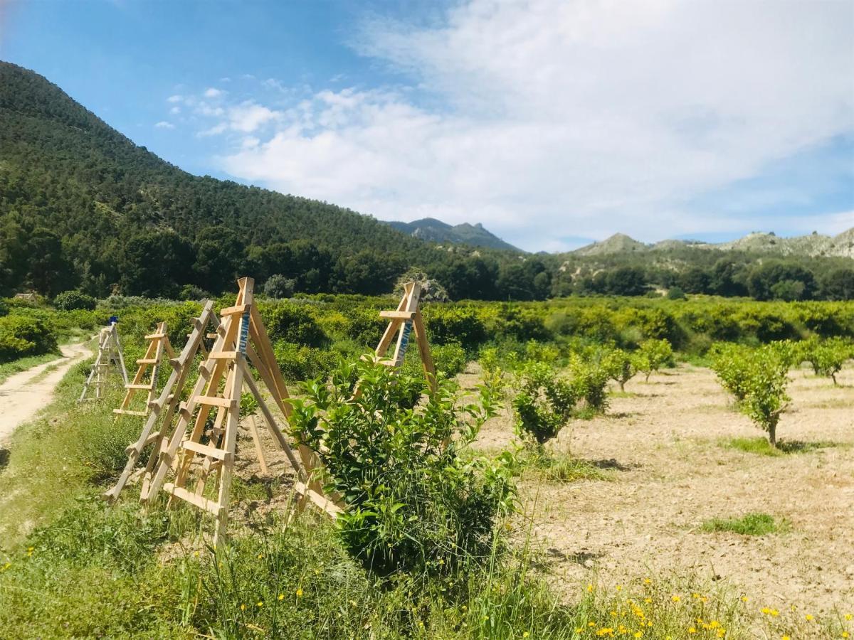 Casa Ramoncico. Finca El Campillo Blanca Eksteriør billede