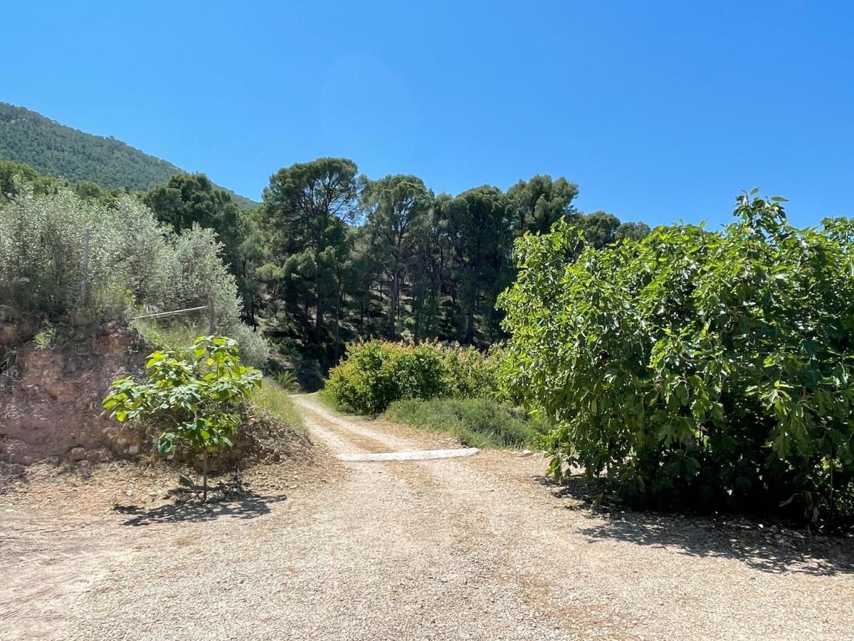 Casa Ramoncico. Finca El Campillo Blanca Eksteriør billede
