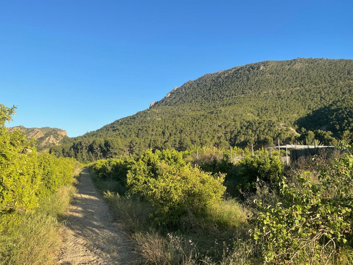 Casa Ramoncico. Finca El Campillo Blanca Eksteriør billede