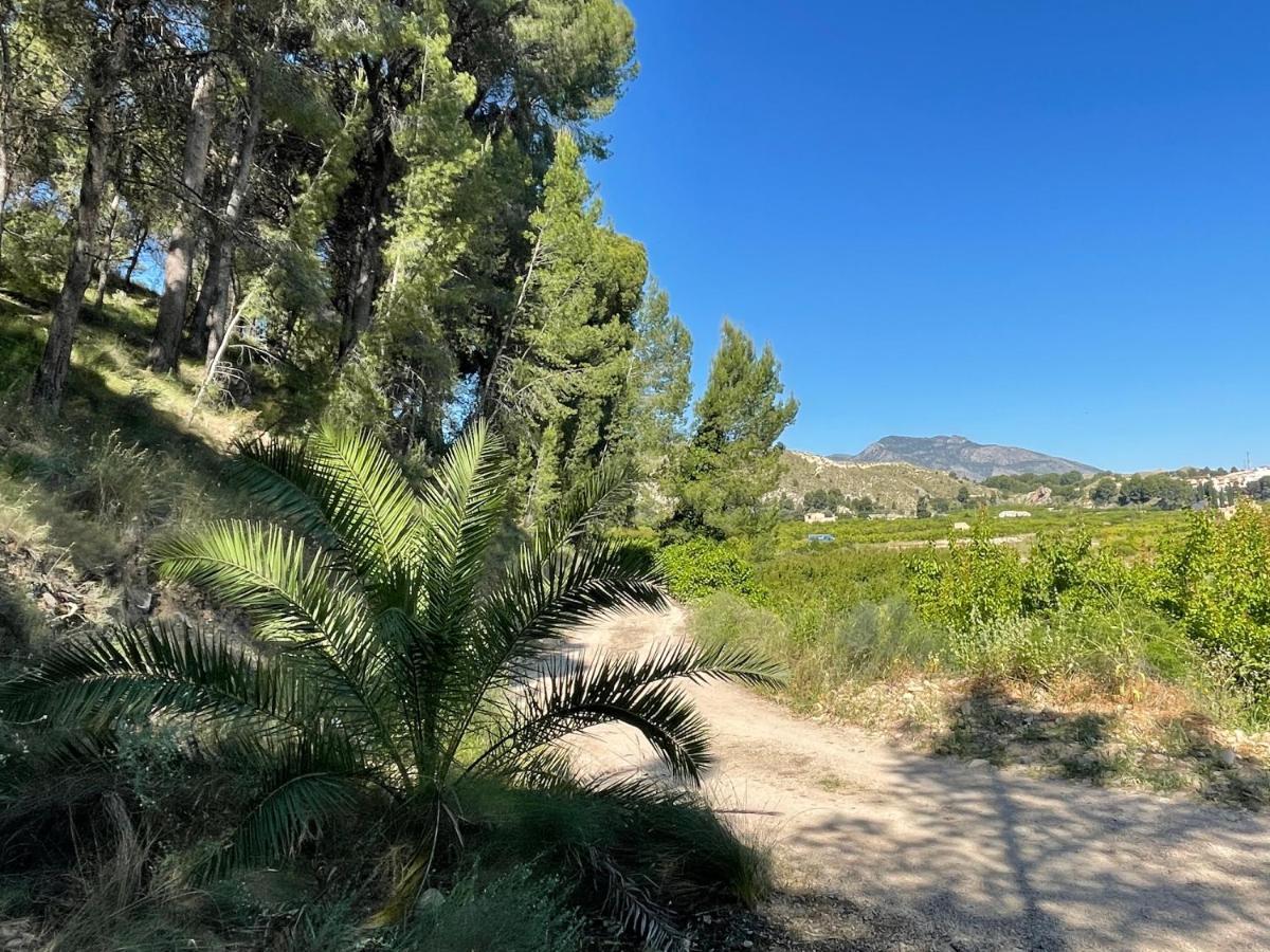 Casa Ramoncico. Finca El Campillo Blanca Eksteriør billede